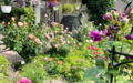 EFH-Hamberge-Rosengarten