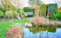 EFH-Stargasse-Teich
